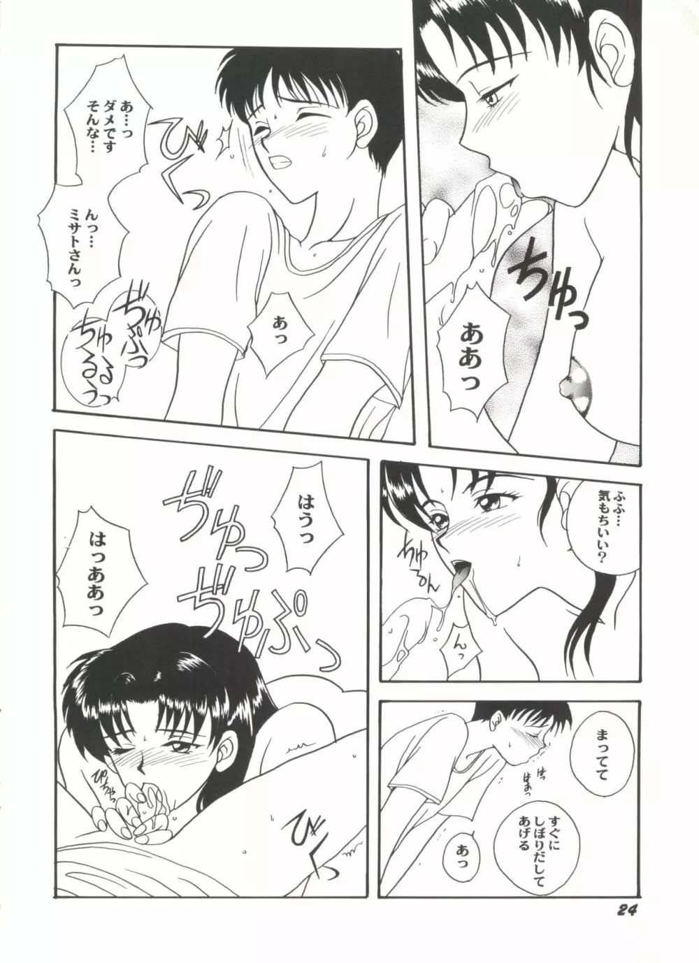 アニパロ美姫4 26ページ
