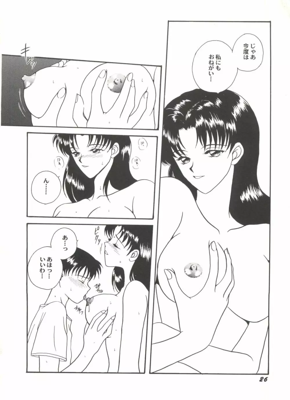 アニパロ美姫4 28ページ