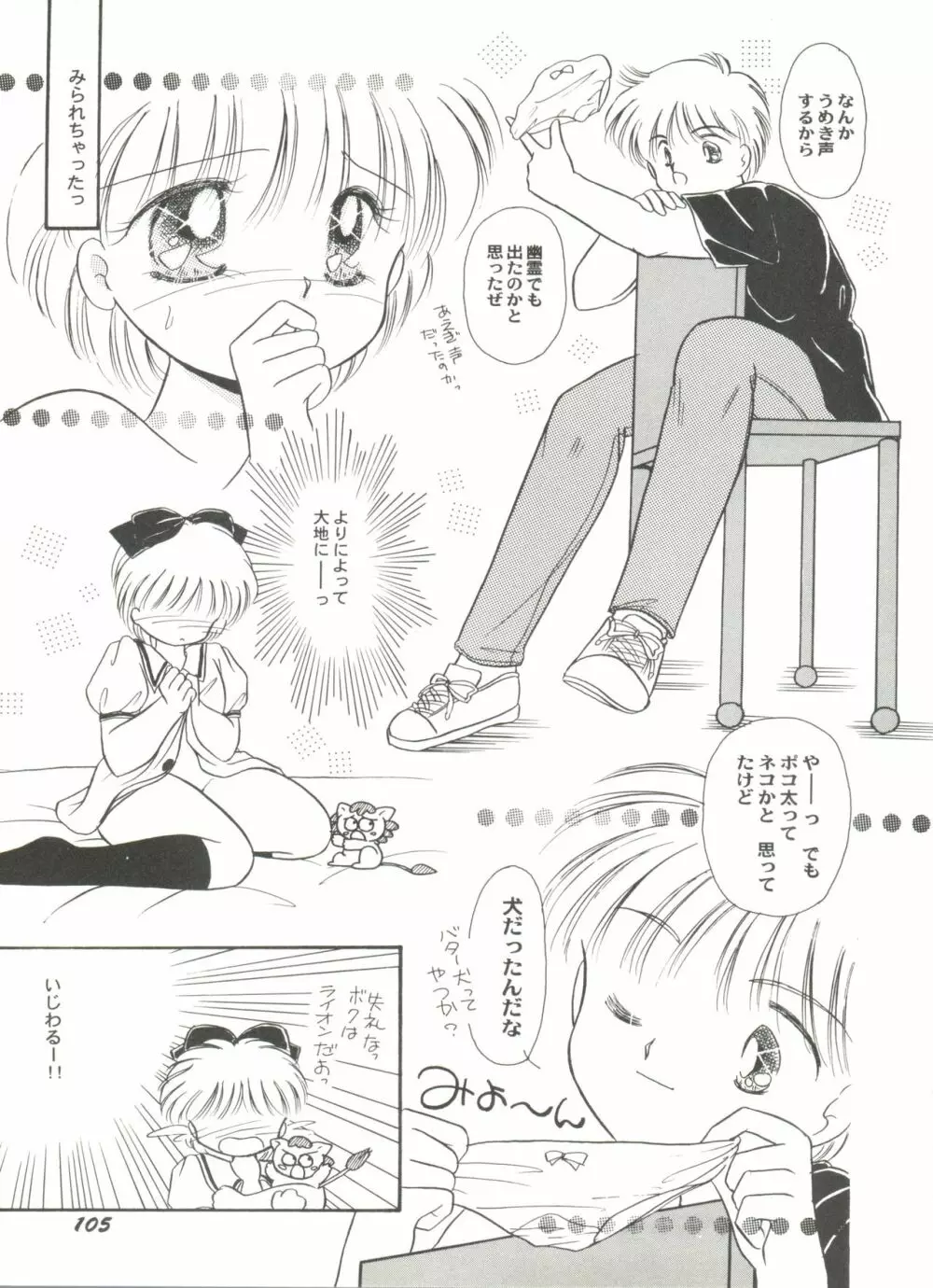 アニパロ美姫5 107ページ