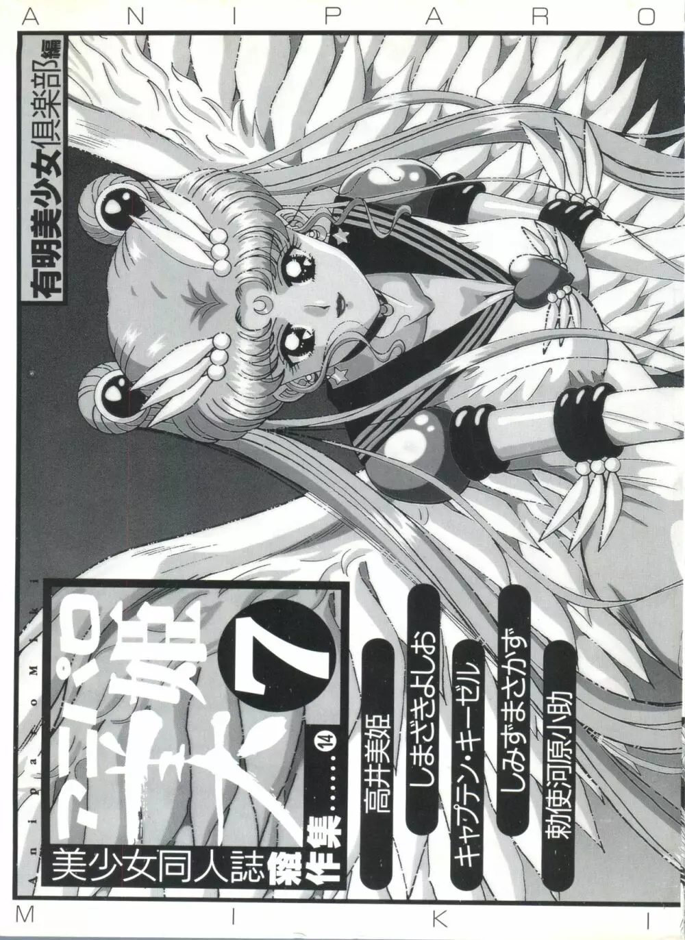 アニパロ美姫7 4ページ
