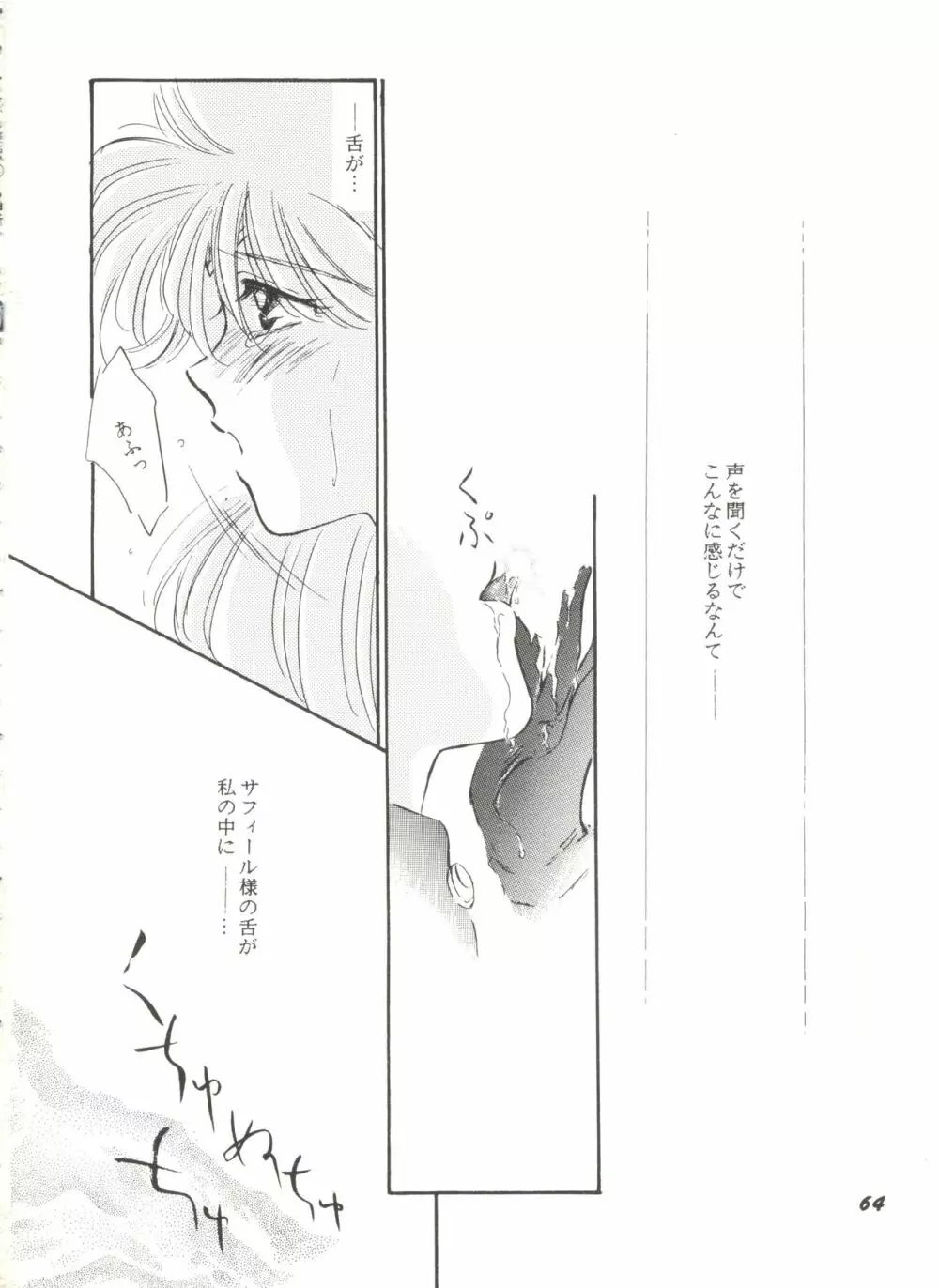 アニパロ美姫9 65ページ