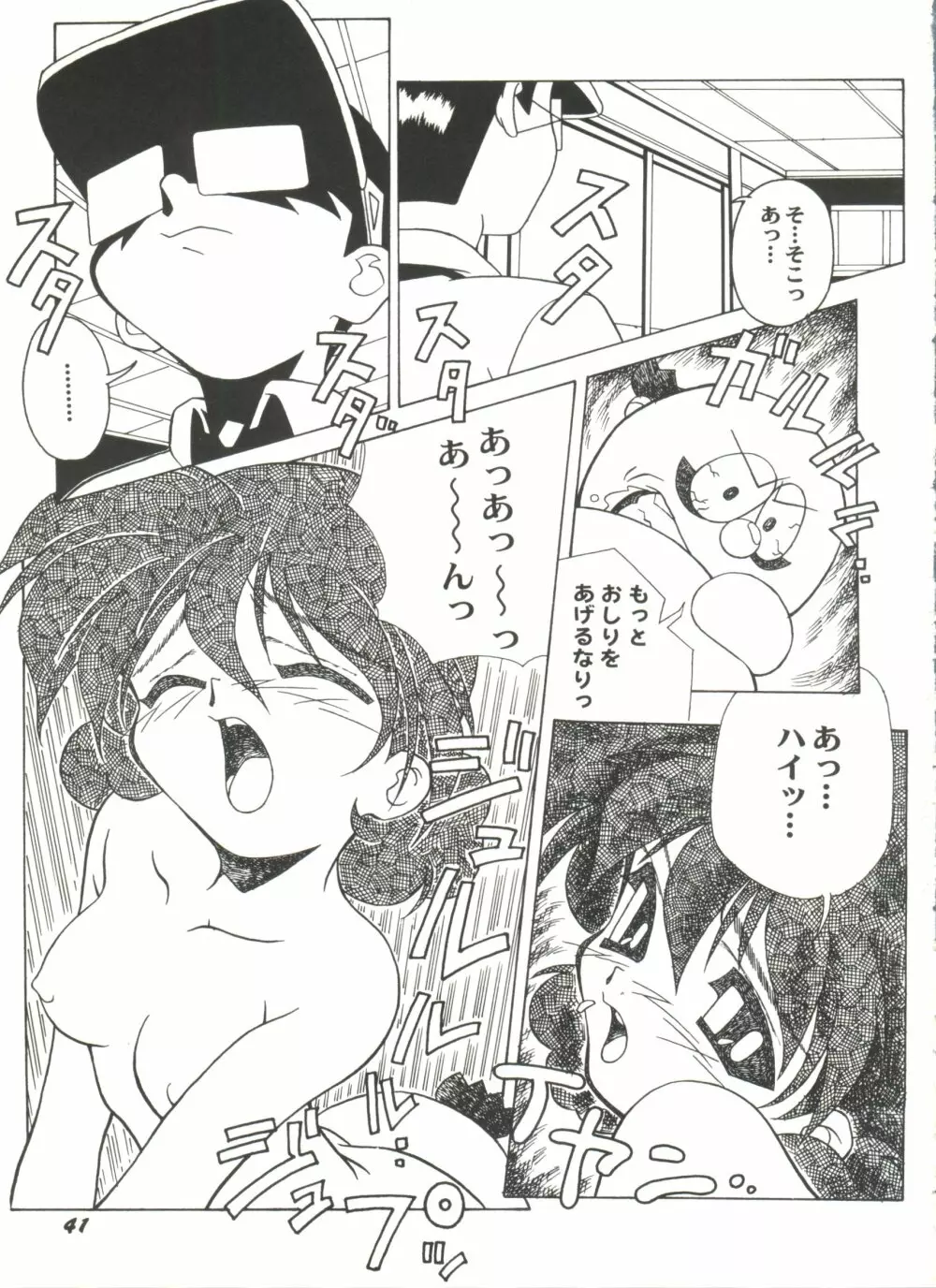 アニパロ美姫11 45ページ