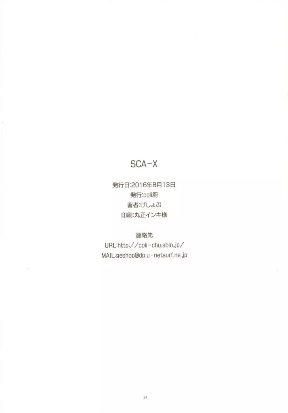 SCA-X 33ページ
