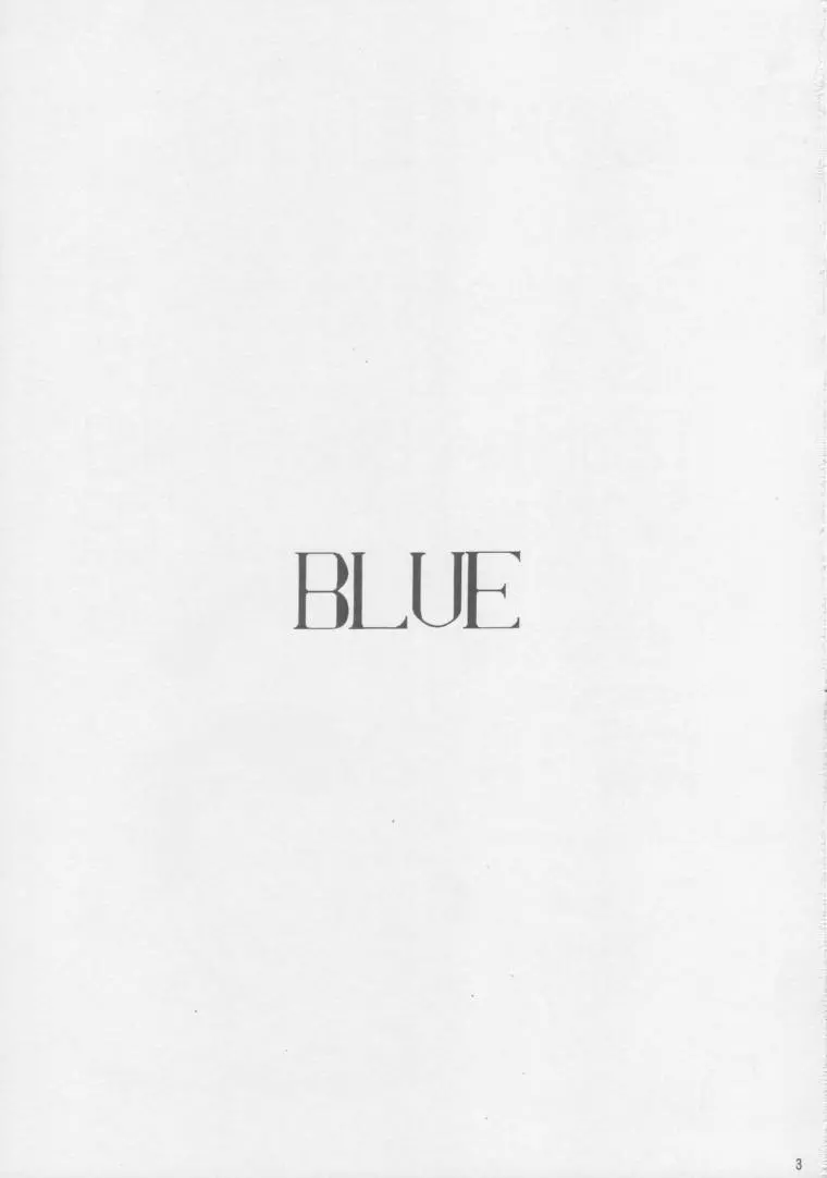 IRIE FILE BLUE 2ページ