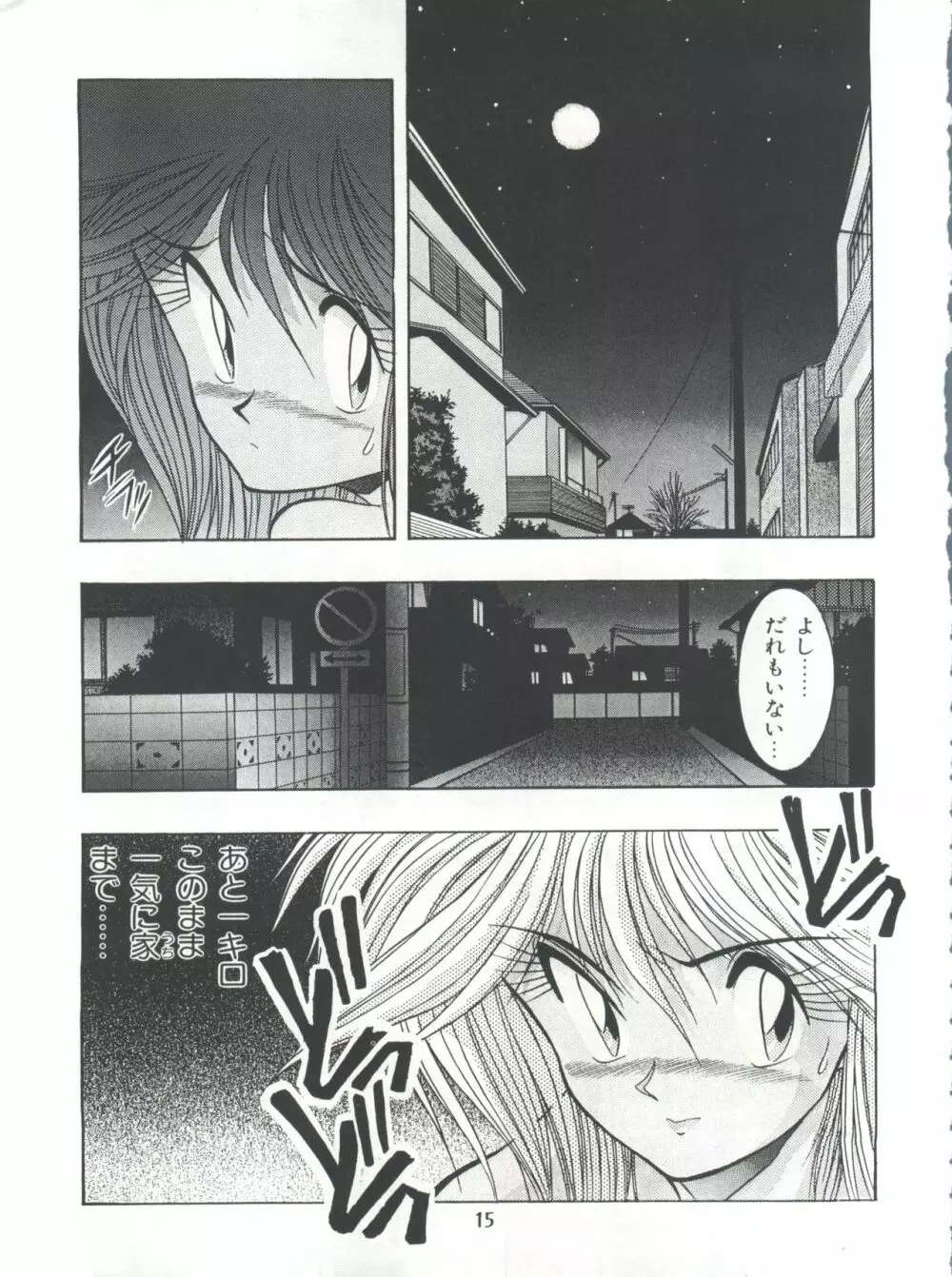 片励会スペシャル Vol.7 14ページ