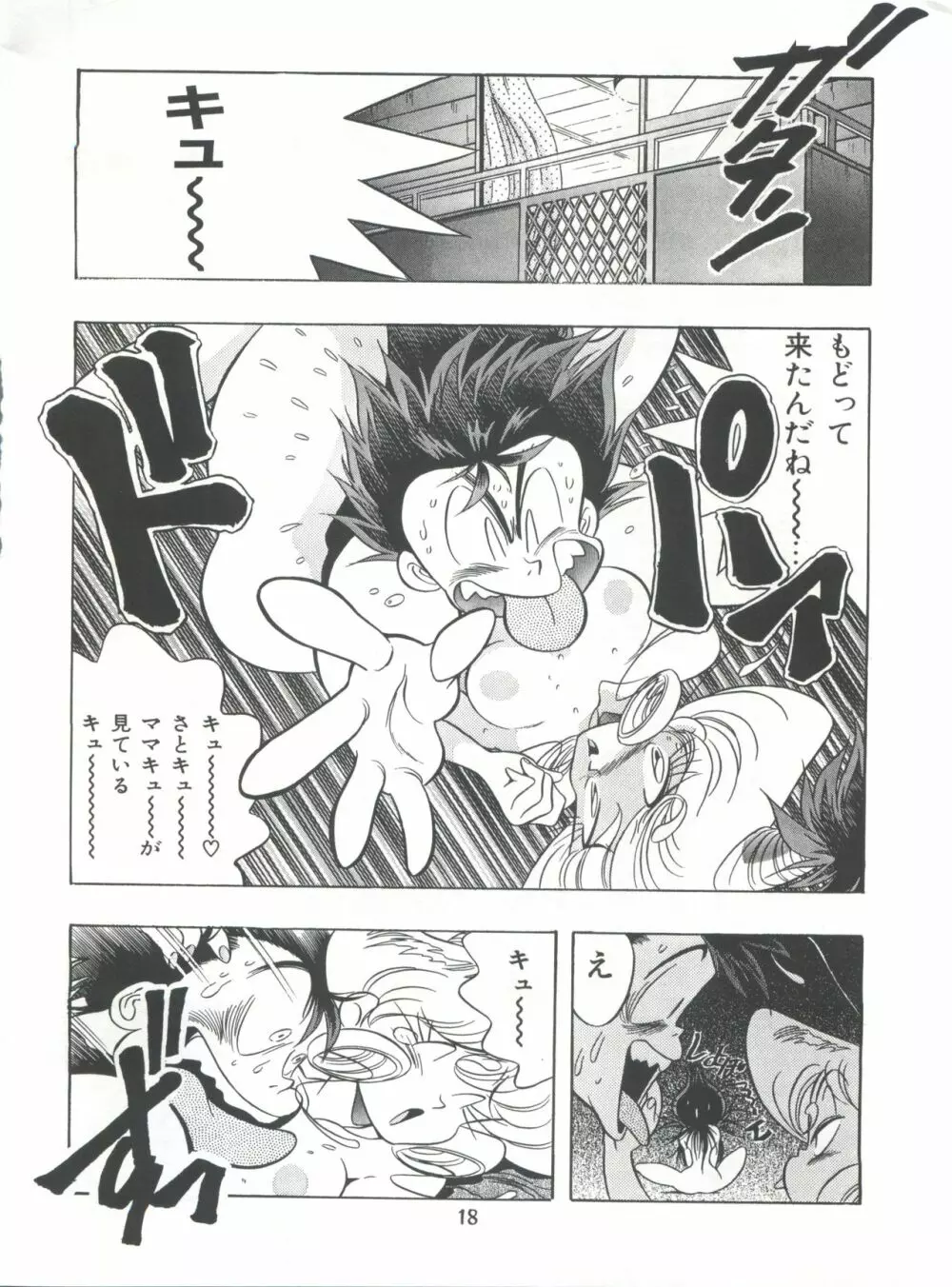 片励会スペシャル Vol.7 17ページ