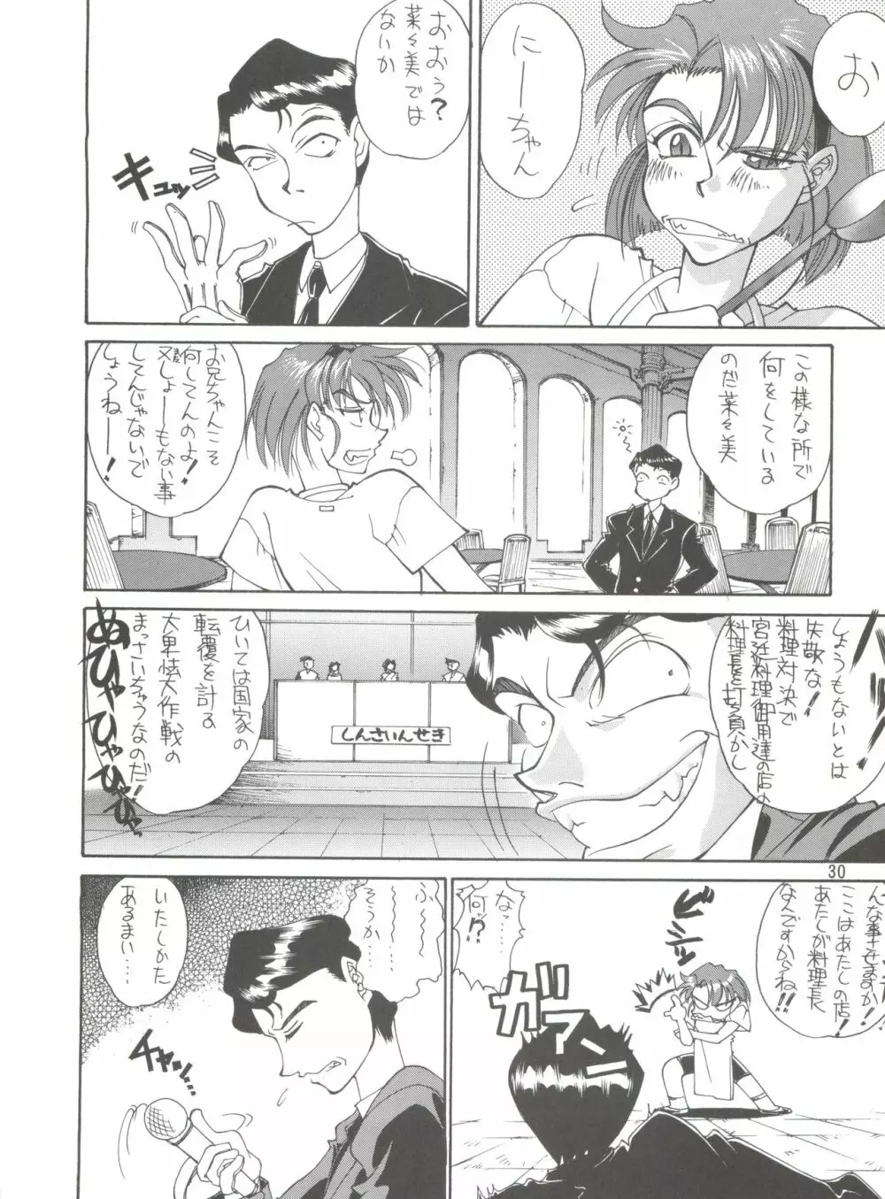 KAISHAKU 2010 29ページ