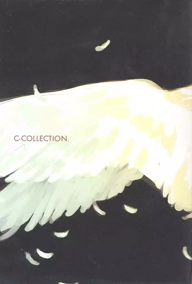 C-COLLECTION 2ページ