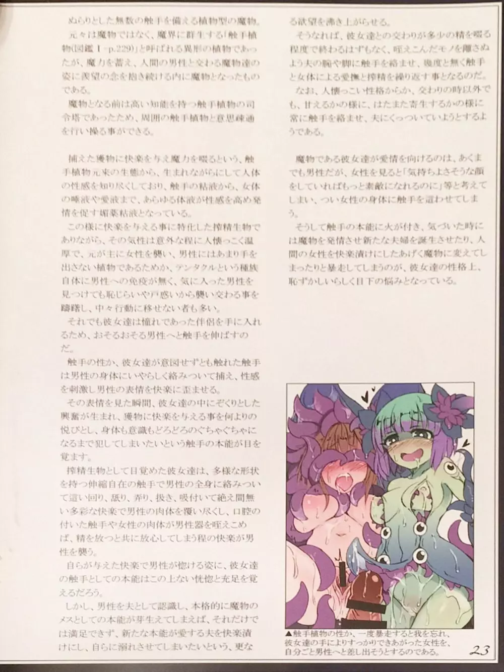 魔物娘図鑑II ~Monster Girl Encyclopedia II~ 25ページ